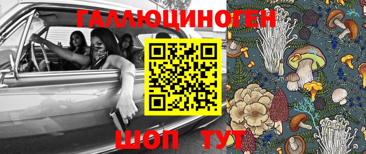 Галлюциногенные грибы Psilocybe  Псилоцибиновые грибы Psilocybe  Вход с VPN  Аша 